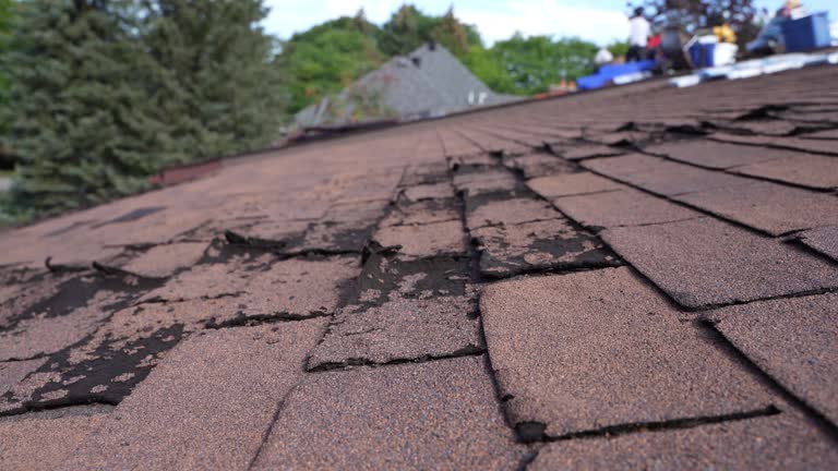 Best Steel Roofing  in Fairfield, AL